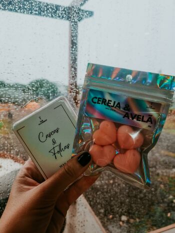 Imagem de Wax Melts